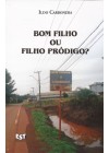 Bom filho ou filho pródigo?