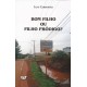 Bom filho ou filho pródigo?