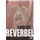 Carlos Reverbel. Textos escolhidos