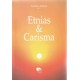 Etnias e Carisma: poliantéia em homenagem a Rovílio Costa