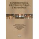 Experimentações, políticas culturais e patrimônios