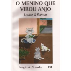 Menino que virou Anjo. Contos & Poemas